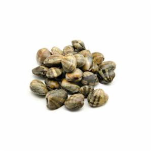 Vongole Lupini Super