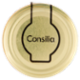 Consilia Miele Millefiori 500 g