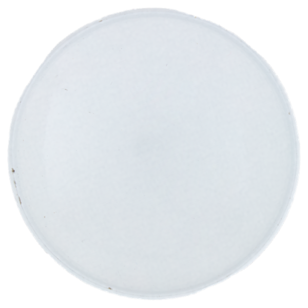 Intesa Pour Homme Schiuma da Barba Idratante con Olio di Avocado e Prebiotico 300 mL