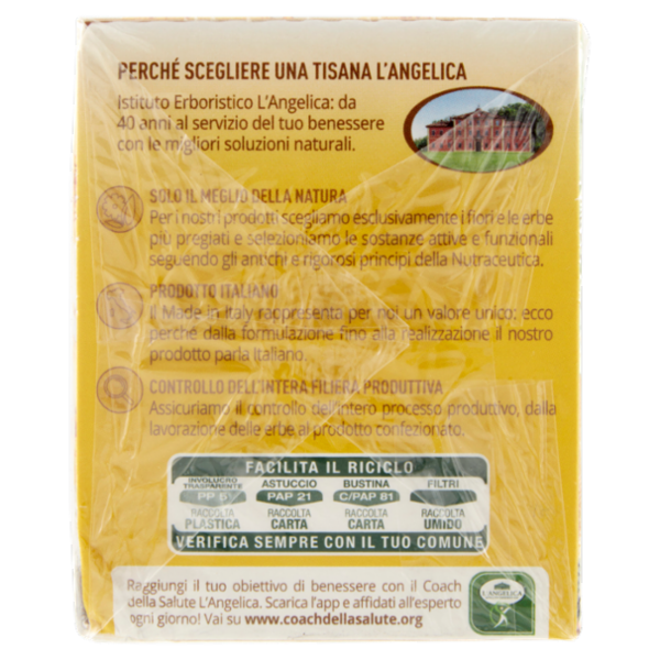 L'Angelica Mocktail Infusioni a Freddo Ananas & Cocco Piña Colada Infusion 18 Filtri 36 g