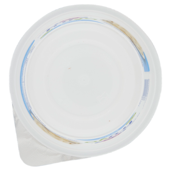 Fage fruyo Vaniglia 0% Grassi 150 g