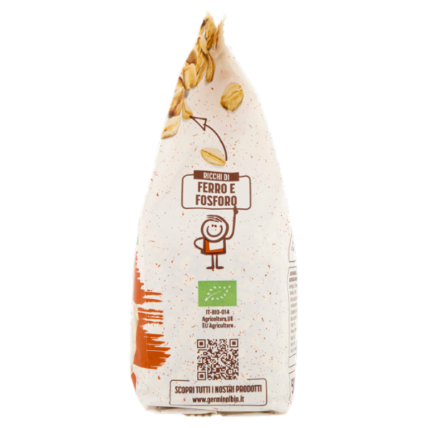 Germinal Bio Fiocchi di Avena 500 g