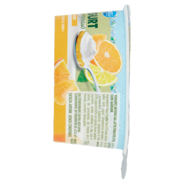Meran Yogurt extra cremoso Agrumi 150 g