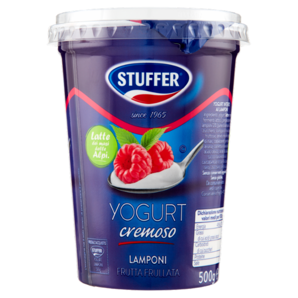Stuffer Yogurt cremoso Lamponi Frutta Frullata 500 g