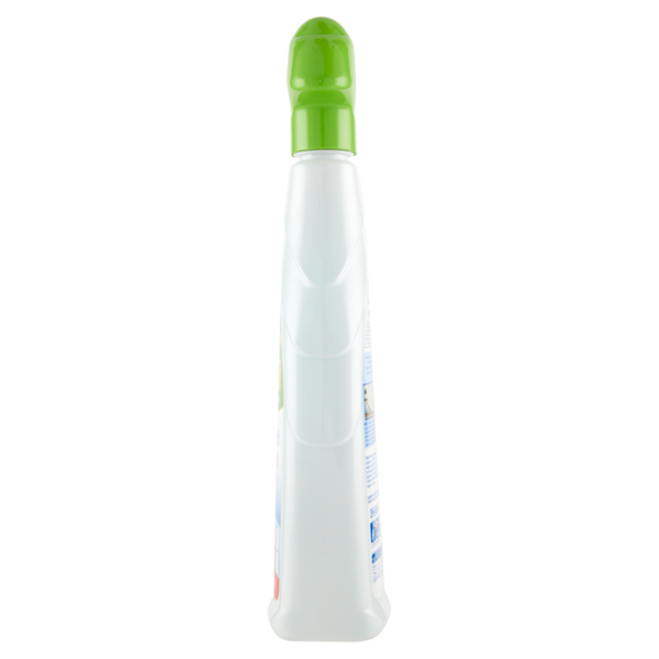 Citrosil Home Protection - Detergente Multisuperfici Igienizzante germi e batteri Tea Tree, 650 ml