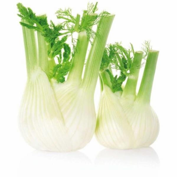 Finocchio 800g