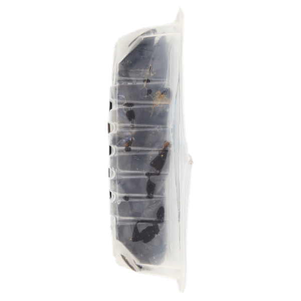 GoroPesca Cozza o Mitilo 1 kg