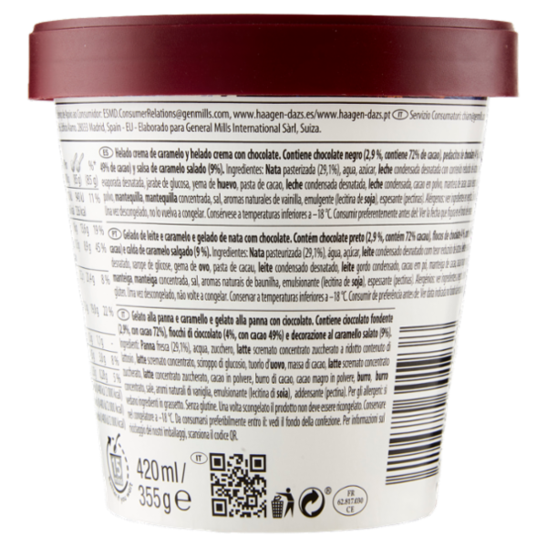 Häagen-Dazs Duo Dark Chocolate & Salted Caramel Crunch 355 g