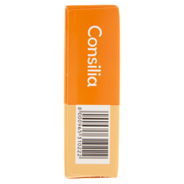 Consilia Bocconcini di Mozzarella Surgelati Panati 250 g