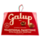 Galup il Panettone Goloso con Glassa alle Nocciole 750 g