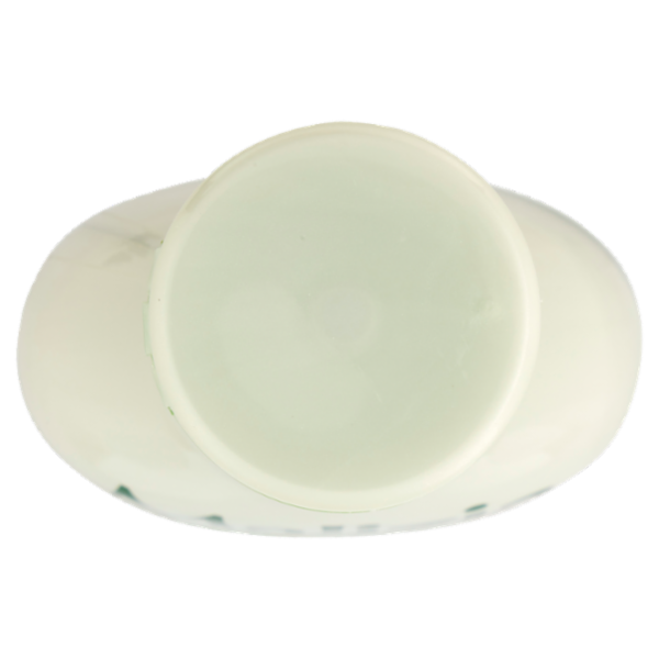 Malizia Bagno Schiuma Bio aloe e magnolia 1000 mL