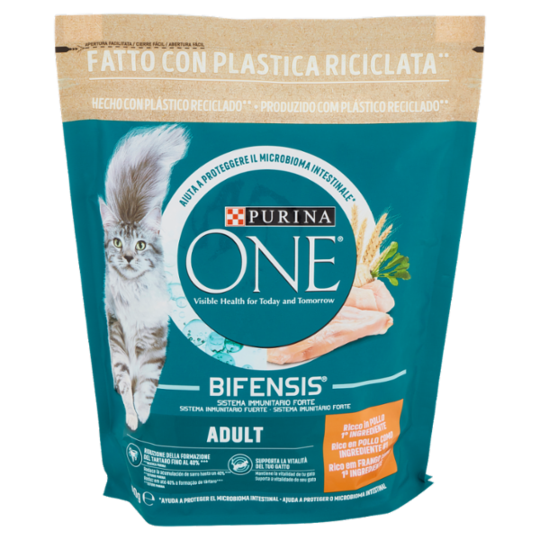 PURINA ONE Adult Ricco in Pollo 800 g