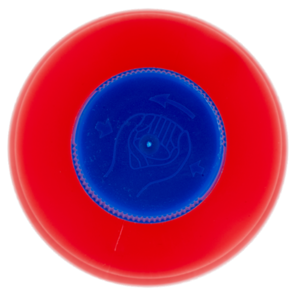 Selex Casa Bella Acido Muriatico 1 L