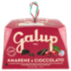 Galup Amarene e Cioccolato 750 g