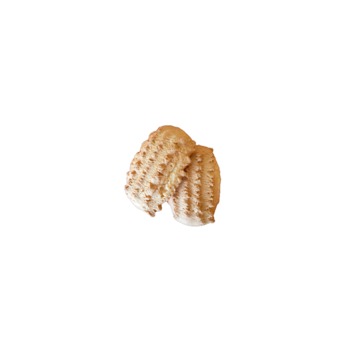 Rigatello Al Cacao Gr.750