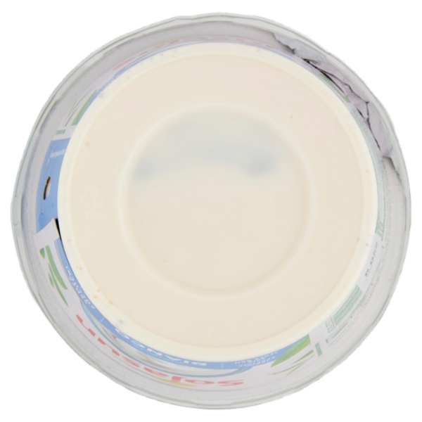 Sojasun Bifidus Bianco 250 g