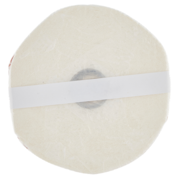 Tutto Dappertutto 500 Strappi