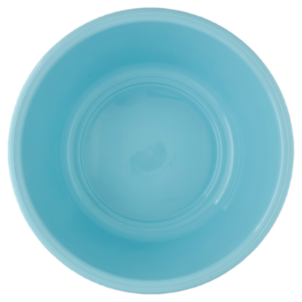 Selex Bacinella Rotonda Azzurro 10 L