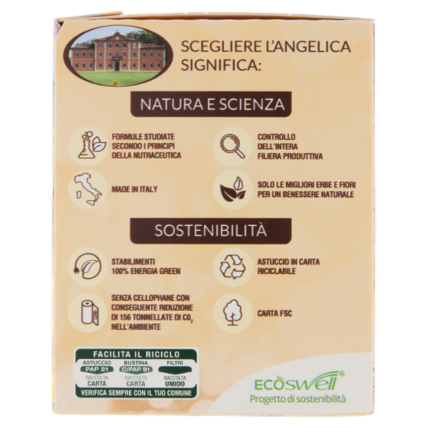 L'Angelica Passioni d'inverno al Gusto di Torta al Limone 15 Filtri 28,5 g
