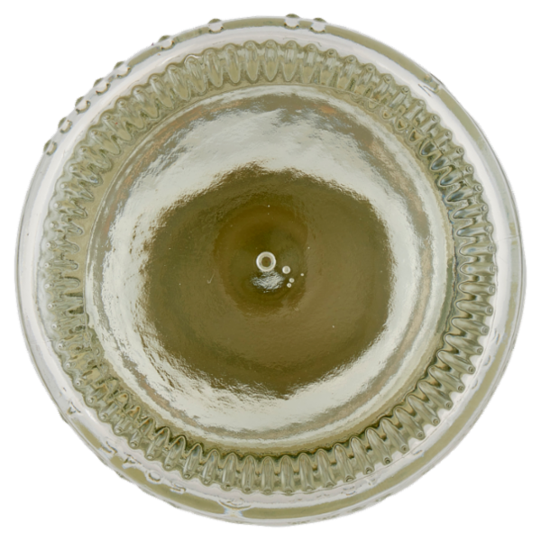 Franklin & Sons Ltd Natural Indian Tonic Water 500 ml