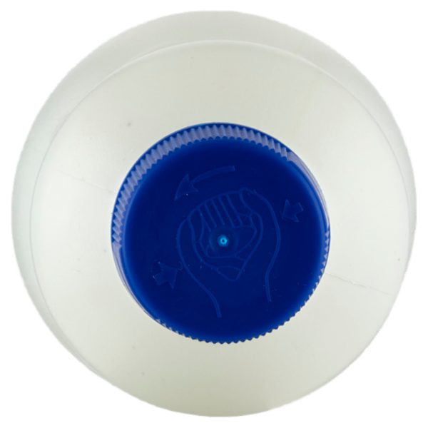 IL GIGANTE Candeggina Classica 1 L