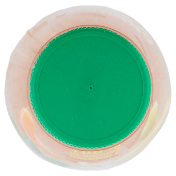 Zuegg Skipper SkipWater Bevanda Dissetante di Agrumi e Menta 500 ml