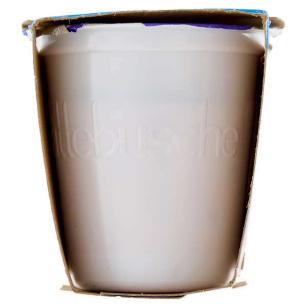 lattebusche yogurt Frutti di Bosco 2 x 125 g