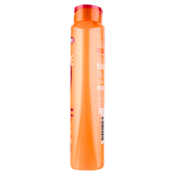 Elvive Dream Long Shampoo Ricostruttore, per Capelli Lunghi e Lisci, 300 ml