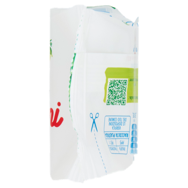 Nonno Nanni stracchino 100 g