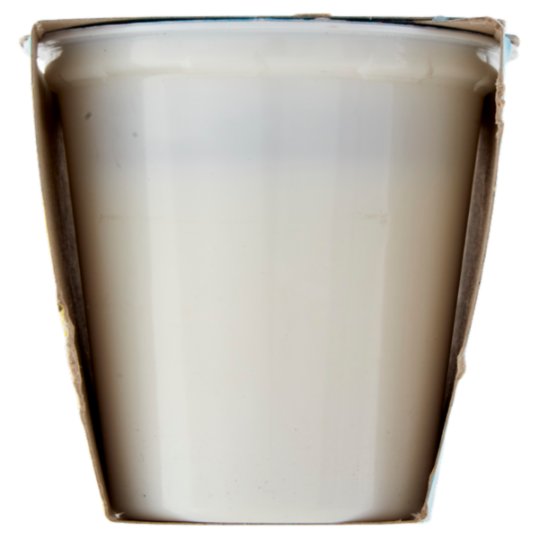 Latteria Brunico Yogurt Magro Zero Grassi Frutta Frullata Ananas 2 x 125 g