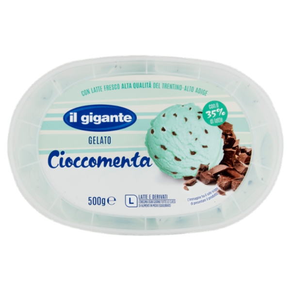 IL GIGANTE Gelato Cioccomenta 500 g