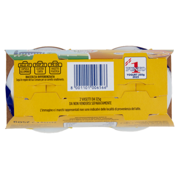 Centrale del latte Vicenza Yogurt Goloso Intero Mango & Maracuja 2 x 125 g