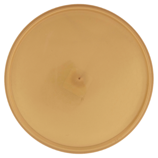 NESCAFÉ Cappuccino Solubile Barattolo 280 g