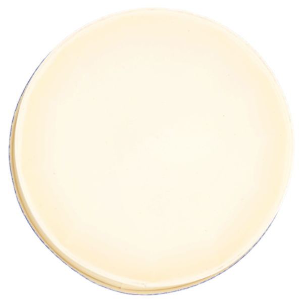 Smapiù Acido Citrico Anidro Puro 720 g