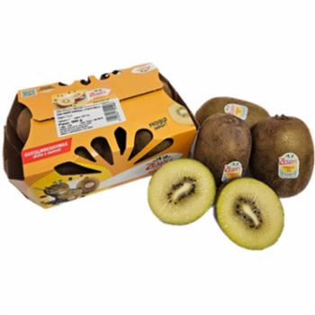 Kiwi Sungold Zespri G 500