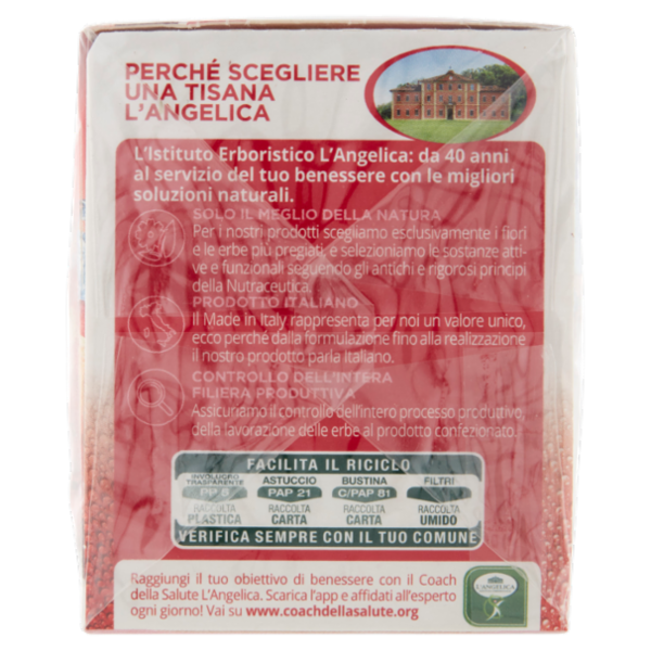 L'Angelica Smoothie Cold Infusion Infuso a Freddo Mora & Melograno 18 Filtri 33.3 g