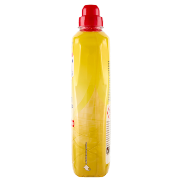 Smac Pavimenti Profumo di Agrumi 1000 ml