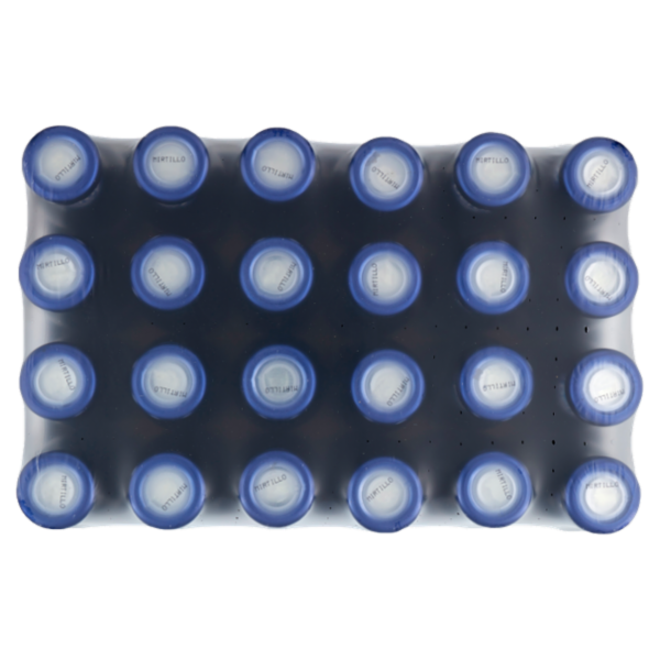 Derby blue Senza Zuccheri Aggiunti* Mirtillo con mela 24 x 200 ml