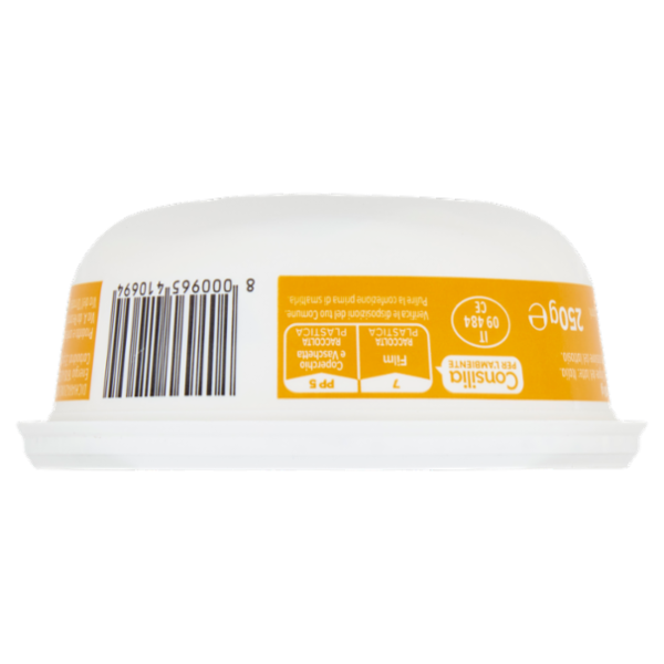 Consilia Mascarpone Senza Lattosio 250 g