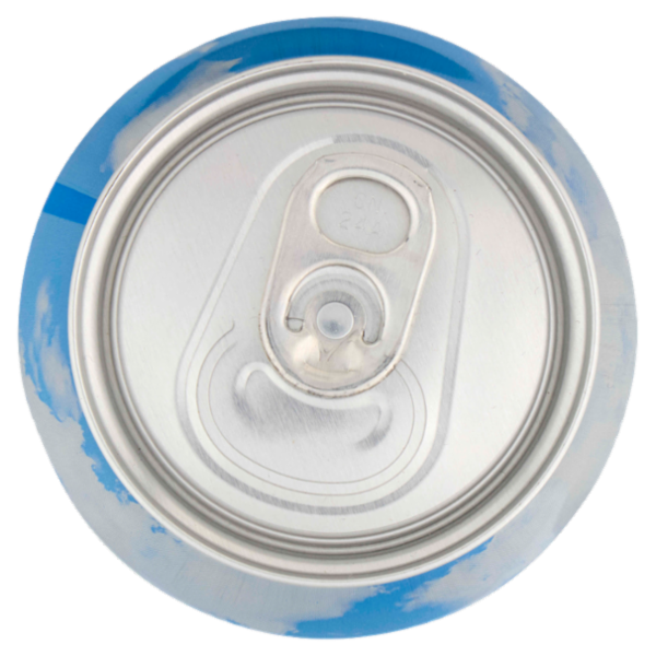 FORST Premium CAN 0,50 l