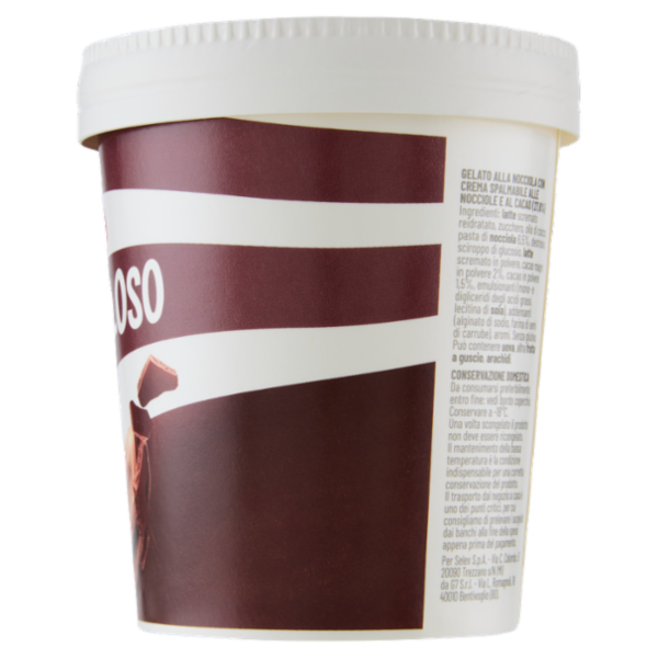 Selex Gelato alla Nocciola con Crema Spalmabile alla Nocciola e Cacao 230 g