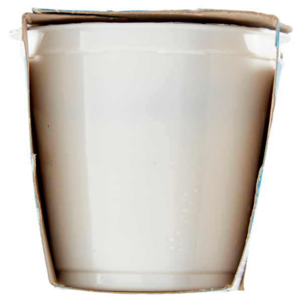 IL GIGANTE Yogurt Intero Banana 2 x 125 g