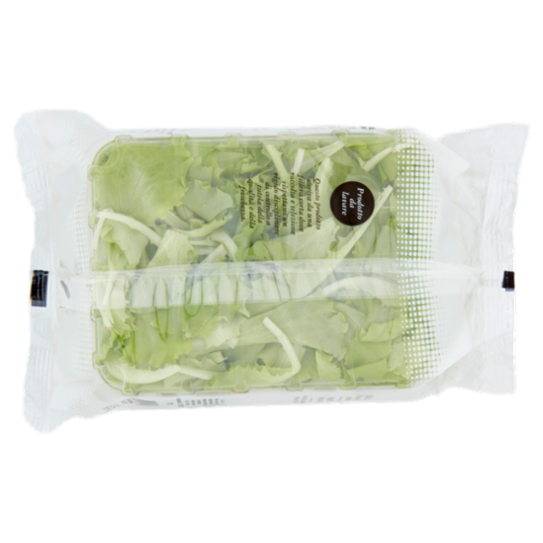 Insal'Arte Lattughino 100 g