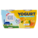 Centrale del latte Vicenza Yogurt Intero Frutta Frullata Agrumi 2 x 125 g