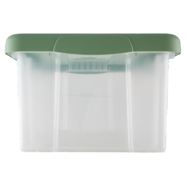 Selex Contenitore con Coperchio a Scatto Verde Cammeo 14 L