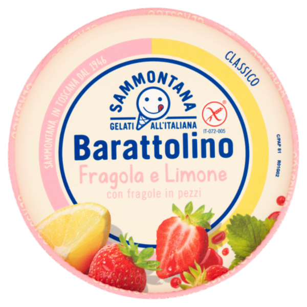 Sammontana Barattolino Classico Fragola e Limone 500 g