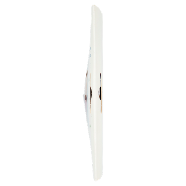 Astro Trota Salmonata Affumicata Classica 0.100 kg