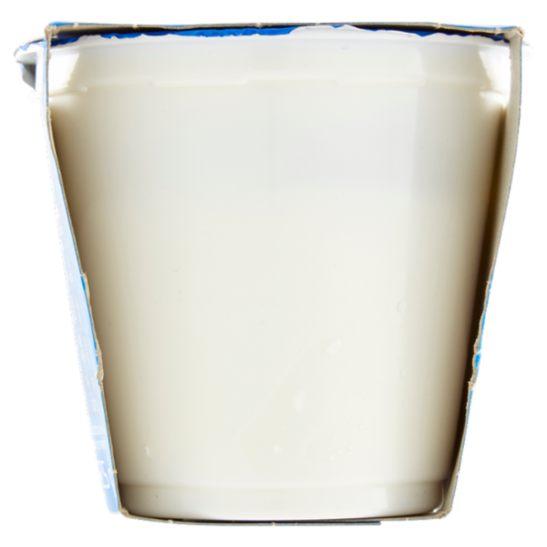 Selex Yogurt Intero Bianco 2x125 g