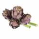 Carciofi Capriccio Italia 1 Pezzo