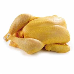 Pollo A Busto Lenta Crescita